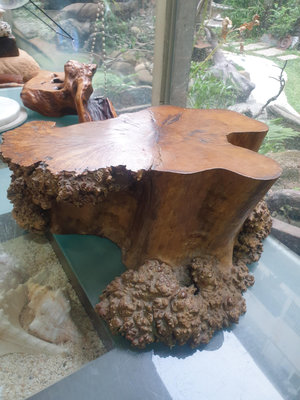 茶道具 茶桌擺件 原木 樹瘤檯座 (重量重) 造型稀有漂亮