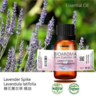 【芳香療網】穗花薰衣草精油Lavender Oil Spike - Lavandula latifolia  10ml