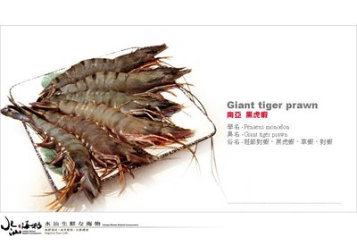 【水汕海物】南亞越南的頂級黑虎蝦(大草蝦5P)  赤足海老 。『門市熱銷、品質保證』