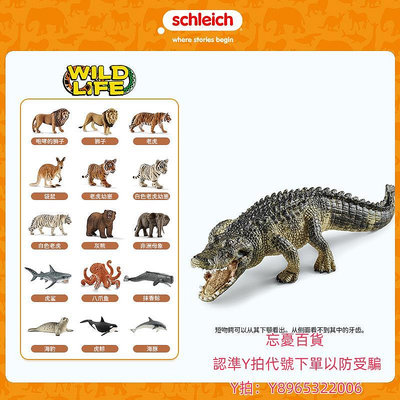仿真模型schleich思樂動物模型野生動物模型兒童玩具美洲短吻鱷魚14727