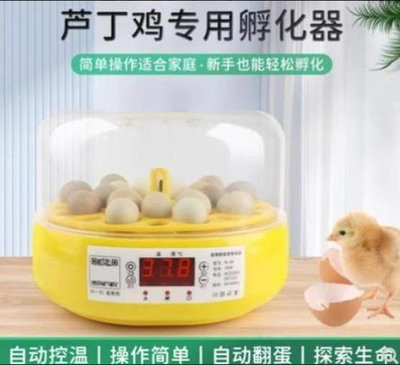 現貨秒出 台灣110V 蘆丁雞 鳥類 鴿子18枚 自動翻蛋 一鍵照蛋 孵蛋機 孵蛋器 迷你雞 小型 全自動 孵化機 孵化
