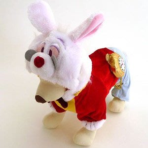 寵物cosplay~日本pet paradise 愛麗絲夢遊奇遇 帶金懷表的兔子變身裝DSS.SS.DS.S賣場