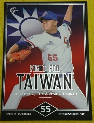 【2020發行】王宗豪(國旗卡 FIGHT FOR TAIWAN)#FFT09 2019 中華職棒30年度球員卡