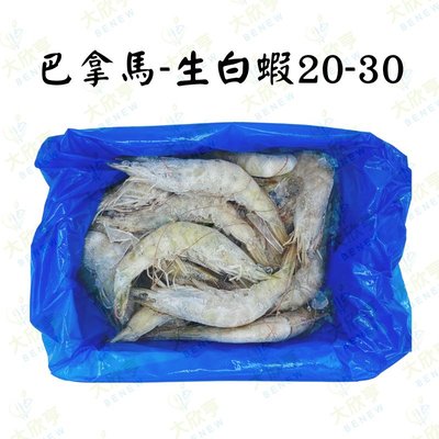 巴拿馬活凍生白蝦20-30【每盒1.05公斤】《大欣亨》B350010