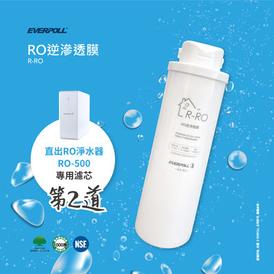 EVERPOLL RO500 RO600 簡易型 RO 純水機 專用 快拆 RO膜 R-RO 北台灣專業淨水
