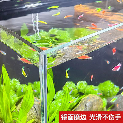 超白魚缸玻璃裸缸桌面客廳生態斗魚金魚缸造景懶人烏龜缸