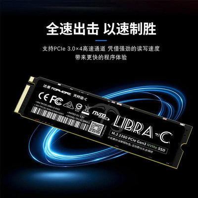達墨LIBRA-C 天秤座C 256GB NVMeM2筆電桌機高速硬碟