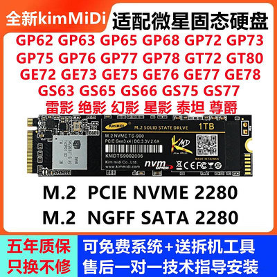 適配微星GE62 GL62M GS65 GP62 GF63 GP76魔影15筆記本固態硬盤M2