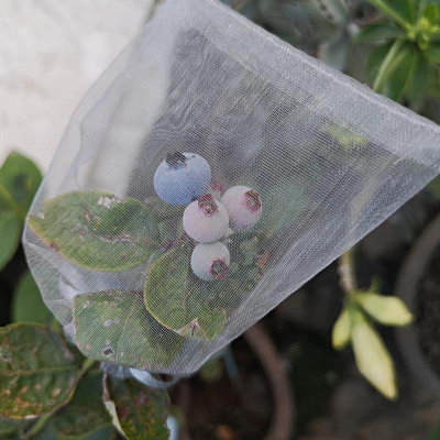 草莓番茄防鳥網袋防蟲套袋紗袋無花果葡萄透氣水果保護袋