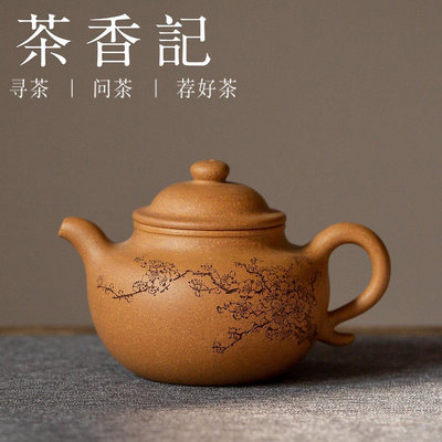 茶藝師  紫砂壺 黃金段泥刻繪 清客蓮子壺  宜興 茶壺  經典壺型