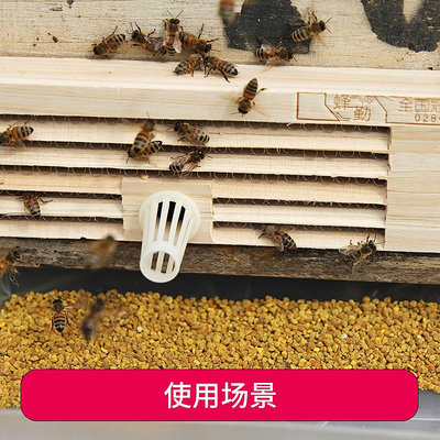五排2孔蜜蜂脫粉器帶接粉斗意蜂脫粉器收集花粉養蜂專用全套工具--思晴