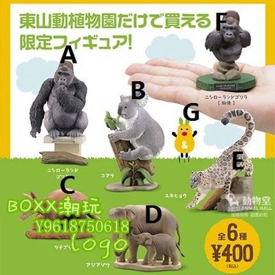 東山動物園的價格推薦- 2023年8月| 比價比個夠BigGo