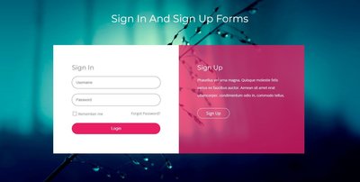 Sign In And Sign Up Forms 響應式網頁模板、HTML5+CSS3、網頁特效  #01065A