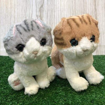 【誠誠小舖】日本進口 正版 動物 SUNLEMON KITTEN 貓咪 蘇格蘭 摺耳貓 灰 橘 絨毛 玩偶 娃娃