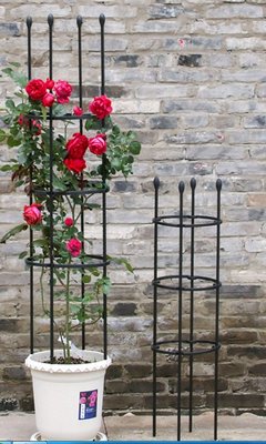 11mm管徑的黑色玫瑰花架，爬藤架子花支架植物盆栽花卉支撐杆 月季,玫瑰，鐵線蓮攀爬花架，120公分高+3個25公分圈圈