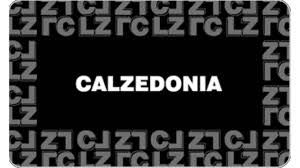calzedonia 義大利 LV界的褲子 緊身、運動、絲襪、泳衣等男女皆可預購