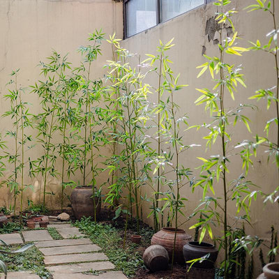 仿真竹子室內裝飾假竹子隔斷屏風擋墻造景室外裝飾竹