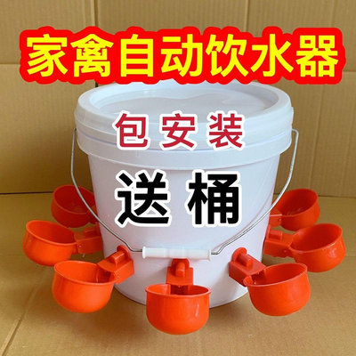 家禽飲水器全自動新款喂雞自動飲水器雞鴨鴿子飲水碗養殖水桶