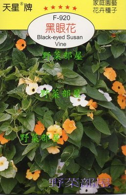 【野菜部屋~】Y72黑眼花(混色)Black-eyed Susan Vine~天星牌原包裝種子~每包17元~