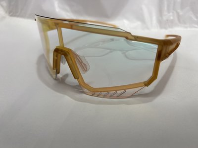 捷安特  101AP 鍍膜變色太陽眼鏡 運動眼鏡 風鏡附近視框
