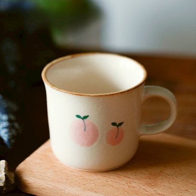現貨：日本井澤工坊進口復古色彩插畫馬克杯水杯咖啡美濃燒杯粗陶牛奶杯