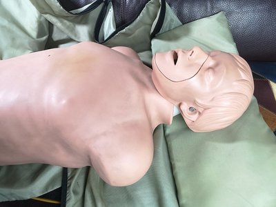 美國版半身安妮假人 Simulaids Brad CPR Manikin 心肺復甦訓練假人