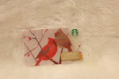 美國 2014 兩隻鳥 星巴克 STARBUCKS 隨行卡 儲值卡 星巴克卡 收藏