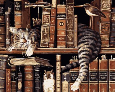 ArtLife藝術生活 DIY 彩繪 數字油畫 裝飾畫【89557】書架上的貓 40*50cm
