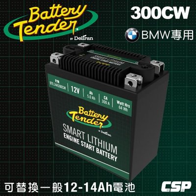 【鋐瑞電池】300CW(300A)12V5.0AH 機車鋰鐵電瓶/鋰鐵電池/機車鋰鐵啟動電池/可替代鉛酸12V-14AH