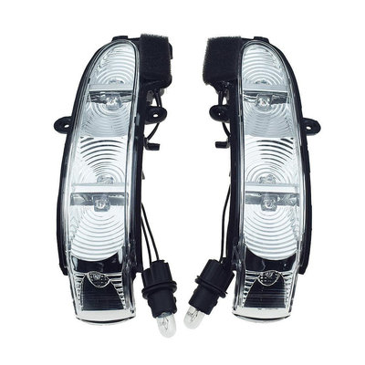 左/右後視鏡轉向信號燈指示燈適用於梅賽德斯奔馳 W210 W211 W463 E320 E350 E500 203820