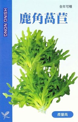 鹿角萵苣【蔬果種子】興農牌 中包裝種子 約3公克/包