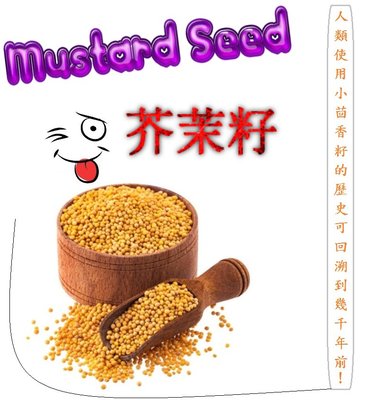 [瑪莎拉] 100％純天然芥茉籽  {1 公斤/裝} Mustard Seed