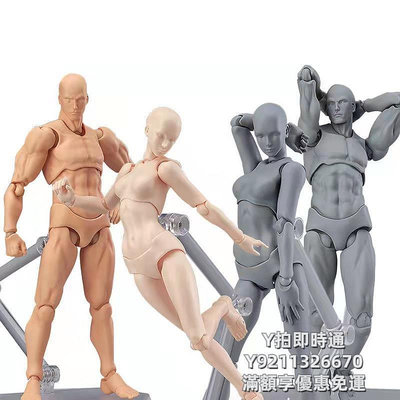 人體模型shf素體人偶全身關節可動figma手辦模型美術繪畫素描男女參考工具