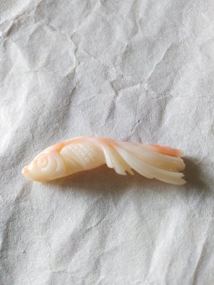 丁香之家---台灣momo紅珊瑚魚--2