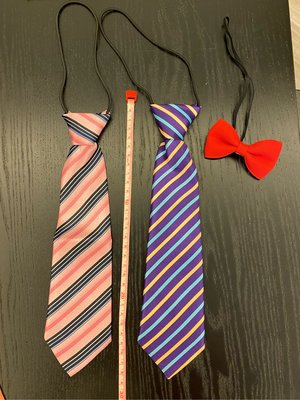 兒童領帶領結