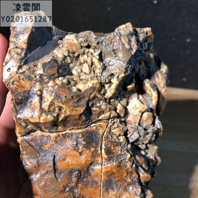 【奇石 戈壁石】阿拉善戈壁石 原石重量1222克 戈壁沙漠漆 老皮 奇石 風凌石擺件凌雲閣奇石