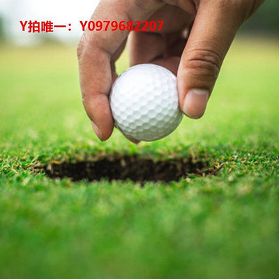 高爾夫打擊墊網打擊室內練習揮桿高爾夫籠器訓練墊套裝器材高爾夫球配切桿golf