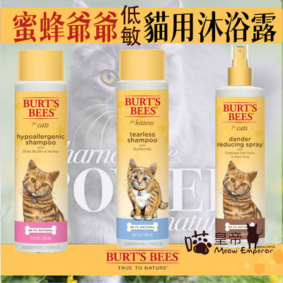 [喵皇帝] Burt's Bees 伯特小蜜蜂爺爺 寵物 乳油木果蜂蜜牛奶沐浴露 貓用洗毛精 護毛素