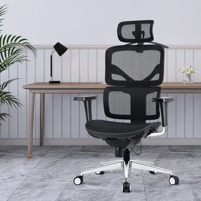 人體工學椅 辦公家用電腦椅電競網椅舒適專業久坐