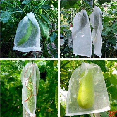 促銷打折 水果防蟲保護袋果樹套袋紙袋菠蘿蜜防蟲袋加密菜地南瓜網袋百香果
