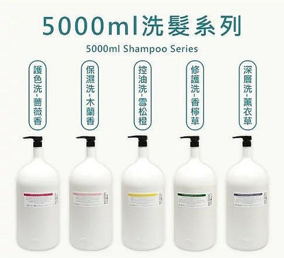 歐萊德洗髮護髮分裝瓶 500ml/1000ml