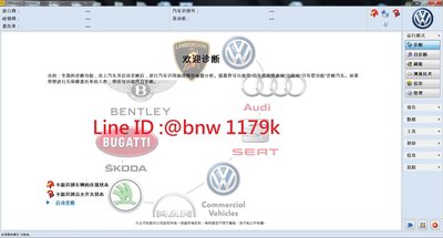 VW / Audi / Skoda 中文版 VCDS 5054A 5054 OBDII  診斷線 ODIS 7.2.1
