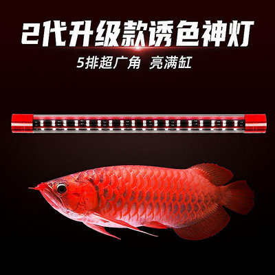 2代龍魚燈魚缸燈LED防水潛水照明燈龍魚專用燈增色增艷水族觀賞魚