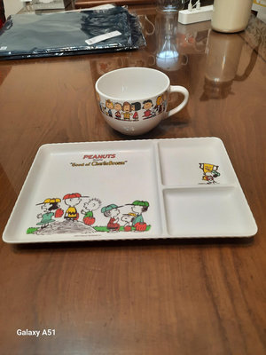 二手餐具 Snoopy 美耐皿盤 陶瓷杯