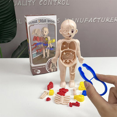 快速出貨 兒童diy拼裝玩具人體解刨仿真器官模型擺件科學實驗套裝steam