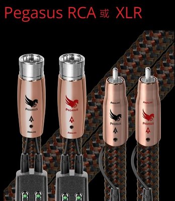 來電優惠【音逸音響】最新旗艦神獸系列．訊號線》audioquest Pegasus 飛馬 RCA頭(1米/對)