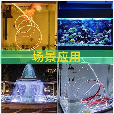 LED燈條24v古法養魚魚缸燈led燈防水12v水池魚缸專用自粘水下低壓燈帶條