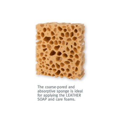 德國pedag Sponge 蜂巢海綿 ~ 德國原裝進口、搭配清潔泡沫噴劑使用