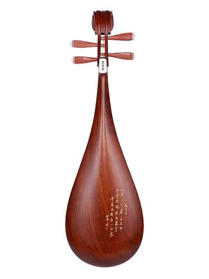 星海觀滄海琵琶樂器成人專業考級演奏琴兒童初學非洲紫檀紅木花梨