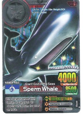 2007-2008 百獸大戰 英文版 第6彈 銀卡 Sperm Whale 藍鯨 抹香鯨 (A164E)